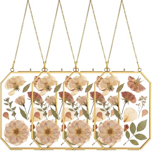 Treela 4 Pieces 6 x 8 Inch Glass Pressed Flower Frame, Hanging Double Glass Frames with Metal Chain Octagon Brass Tabletop Display for Dried Flowers Plant Picture Photo Artwork DIY Decor (Gold) - color: Gold, size: 6 x 8 Inch