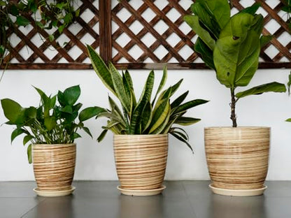 8 Inch Plant Pot, Ceramic Planter with Drainage Hole and Saucer Large Flower Pot for Home Patio Garden Office, Yellow - color: Glossy Yellow-coil, size: 8 Inch