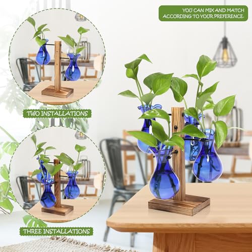 Plants Propagation Stations Bulb Glass Propagation Birthday Gift for Women | Garden Plant Lovers - 4 Bulb - color: Blue