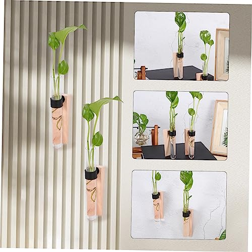 Flower Vase Set 2 Pieces Wall-Mounted Test Tube Plant Holders Air Plant Vase Easy to Assemble