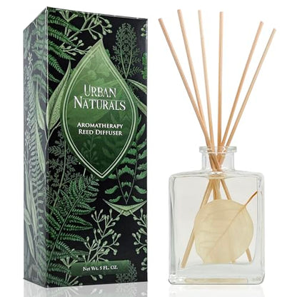 Reed Diffuser Set, Winter Eucalyptus - Bathroom Shelf Décor | Crisp Eucalyptus, Mint, Spruce, Cedar, Amber, Virginian Cedarwood, Sleek Rectangular Refillable Glass Bottle, Made in the USA - color: Winter Eucalyptus