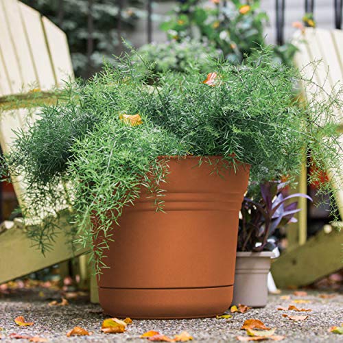 Bloem SP0546 Saturn Planter w/Saucer 5" Terra Cotta, 5" - color: Terra Cotta, size: 5"