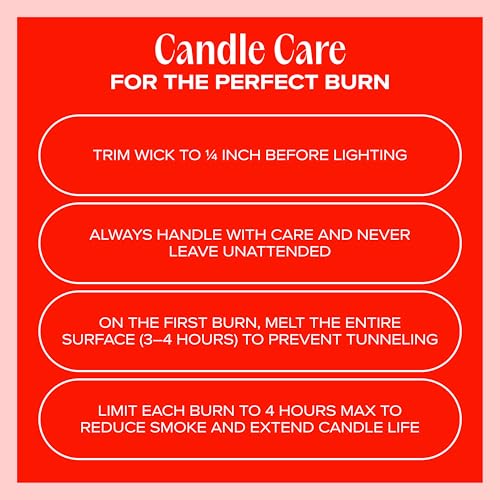 Anywhere with You Pet-Friendly Scented Candle – Grapefruit & Vanilla Fragrance - Coconut Soy Wax Candle with Wooden Wick, Approx. 50-Hour Burn Time, Made in USA, 11.8 oz - color: Anywhere with You