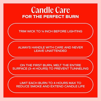 Anywhere with You Pet-Friendly Scented Candle – Grapefruit & Vanilla Fragrance - Coconut Soy Wax Candle with Wooden Wick, Approx. 50-Hour Burn Time, Made in USA, 11.8 oz - color: Anywhere with You