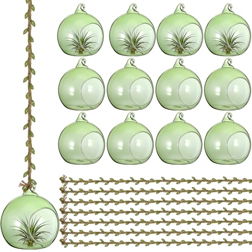 GlikCeil 13 Pcs Hanging Glass Orb Holders with Leaf Vine Ribbon, 3.15 Inch Glass Terrarium Globes for LED Tea Lights, Air Plants, LED Floating Candles, Wedding, Party and Home Decor (Green) - color: Green