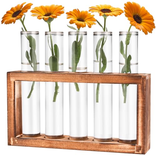 Tigvio Desktop Glass Plant Propagation Station (5 Tubes) | with 5 Test Tubes in Wooden Stand - Hydroponic Plants Cutting Office Home Decoration and Garden Decor Terrarium - size: 5 Tubes