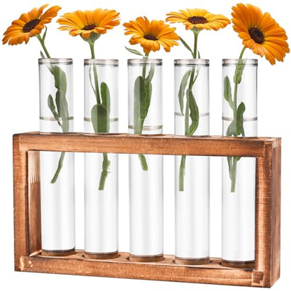 Tigvio Desktop Glass Plant Propagation Station (5 Tubes) | with 5 Test Tubes in Wooden Stand - Hydroponic Plants Cutting Office Home Decoration and Garden Decor Terrarium - size: 5 Tubes