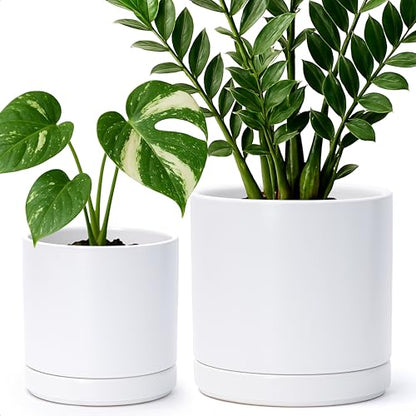D'vine Dev 2-Pack Ceramic Pots with Saucers, 6/8 in, White, 94-G-M-1 | Glazed Ceramic, Drainage Hole, Perfect-Fit Saucer, Sleek Cylinder Shape, High Temperature Fired, Elegant Home Accent - color: White, size: Medium