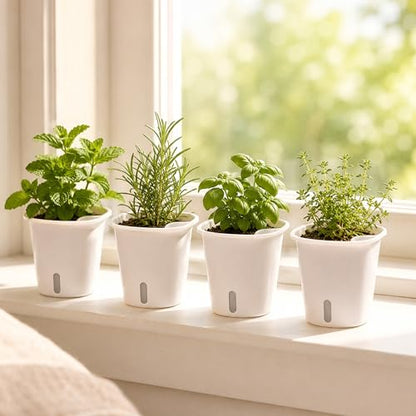 3" Self Watering Pots - 10 Sets Planter Pots for Indoor Plants With Water Level Indicator and Multiple Vents - for House Plants, Flowers, Herbs - size: 3 Inch - 10 Sets