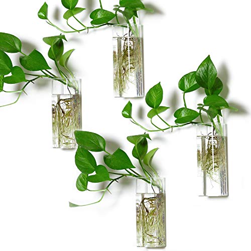 Square Glass Propagation Vase 4 Pack, Wall Hanging Hydroponic Planter | Borosilicate glass, clear & sturdy. Wall-mount. Ideal for succulents, herbs, hydroponics. Space-saving decor for home office - color: Square Tube