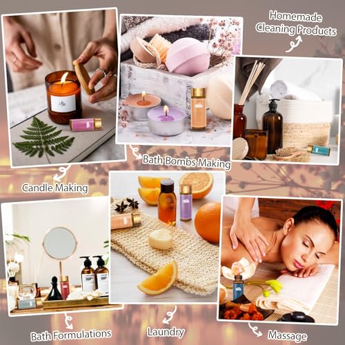 Fragrance Essential Oils Set - 14pcs, Aromatherapy Oils for Skin, Diffusers, Home Care, Humidifier Laundry, Candle Making - Tea Tree, Sandalwood, Lavender, Vanilla, Eucalyptus and More (5mL) - color: 14 Pack Essential Oil Set Yellow
