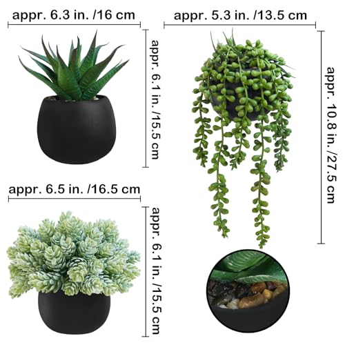 Winlyn Set of 3 Artificial Succulent Plants in Black Concrete Pots Faux Aloe Hops String of Pearls Potted Plants Small Fake Plants Desk Plants for Home Office Desk Kitchen Bathroom Shelf Windowsill - color: Black Pots