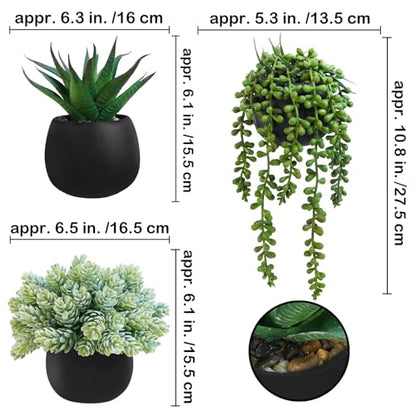 Winlyn Set of 3 Artificial Succulent Plants in Black Concrete Pots Faux Aloe Hops String of Pearls Potted Plants Small Fake Plants Desk Plants for Home Office Desk Kitchen Bathroom Shelf Windowsill - color: Black Pots