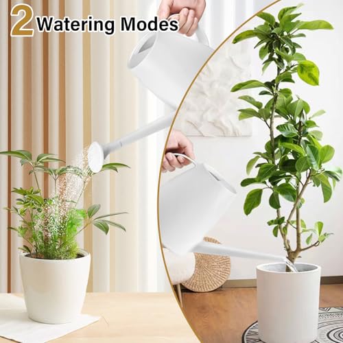 Plastic Watering Can - for Indoor and Outdoor House Plant Garden - with Long Spout - 1/2 Gallon - White - color: White