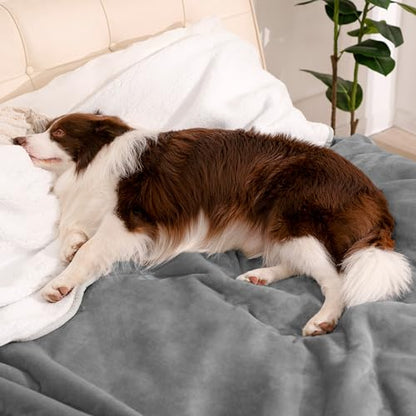 gogobunny Waterproof Bed Blanket, Reversible Sherpa Fleece Throw Blanket for Dog Puppy Cat, Furniture Cover Protects Bed Couch Sofa from Liquid Pee and Pet Fur (Grey, 25x35 inches) - color: Grey, size: 25x35 inches