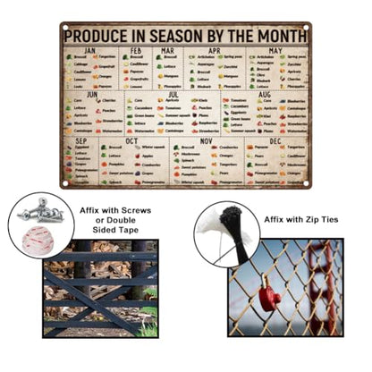 Vegetables Knowledge Metal Tin Signs 0.79×1.18inch Retro Season Fruit Sign Produce In Season By The Month Sign Food Art Poster for Room Garden Yard Home Farmhouse Wall Decor - style: Season Fruit