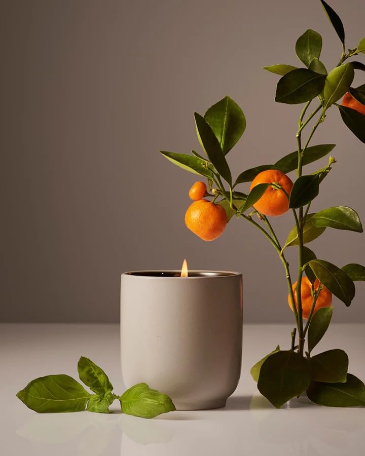 Homecourt by Courteney Cox Luxury Scented Candle, Mandarin Basile, 8 oz | Gently Cleanses & Hydrates, Removes Dirt & Debris Without Irritating Skin, Clean Formula