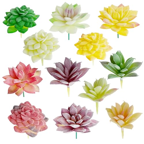 Woohome 12 PCS Artificial Succulents Assorted Faux Succulents Fake Succulents Picks for Decorative Garden Arrangement Decor - color: Color 3
