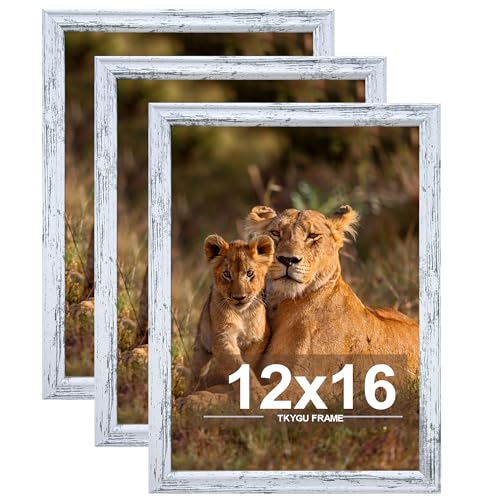 12x16 Picture frame set of 3, Woode frames Rustic White Wall Mounting Horizontally or Vertically, 12 by 16 Wall Gallery Poster Photo Frame with Shatter Resistant Plexiglass,best gift - color: Rustic White -3PCS, size: 12X16in