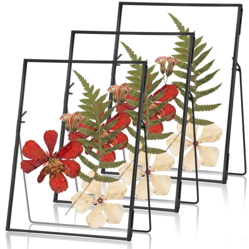 3 Pack Glass Pressed Flower Frame Handmade, 6 x 8 floating Picture Frames for Pressed Flowers, Brass Double Glass for Tabletop Display, Home Office Plant Specimen, Photos(Black) - color: Black, size: 6 x 8 Inches