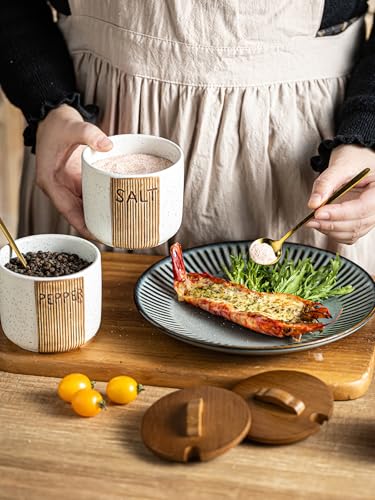 Salt and Pepper Bowls Ceramic, 10 OZ Salt and Pepper Container | Salt and Pepper Cellar wiht Lid & Spoon, Salt Containers for Countertop, Easy Access, Rustic Woodgrain Embossed Design, White - color: White, size: Set of 2
