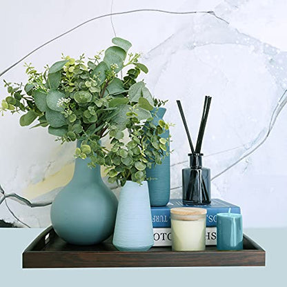 Bulk Artificial Silver Dollar Eucalyptus Leaves Picks Stems and Faux Branches for Vase Bouquets Floral Arrangement Wreath Rustic Farmhouse Greenery Decoration