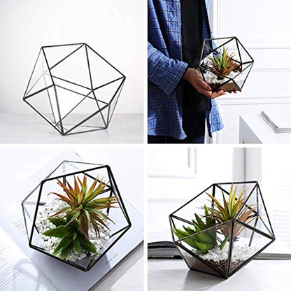 Glass Terrarium Storage Box Jewelry Holder Glass Geometric Tabletop Succulent Plant Box Planter Holder for Case Black Go - color: Gold