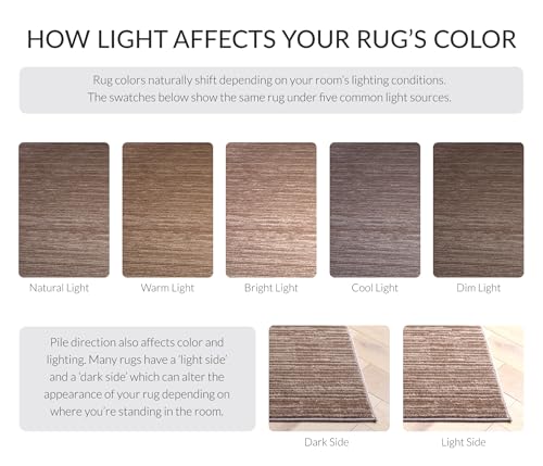 SAFAVIEH Vision Collection Accent Rug - 2'2" x 4', Light Brown, Modern Ombre Design, Non-Shedding & Easy to Clean, Ideal for Entryway, Foyer, Bedroom (VSN606C) - color: Light Brown, size: 2'2" x 4' (Rectangular)