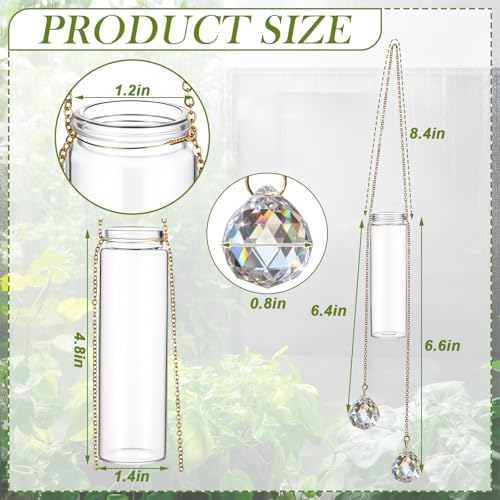 Hushee 6 Pcs Hanging Propagation Stations with Crystal Suncatcher Glass Hanging Wall Planters Indoor Plants Hydroponic Tubes for Plants Flowers Windows Home Decoration