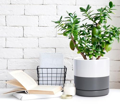 D'vine Dev 3-Pack Ceramic Pots & Saucers, 6/8/10 in, White/Grey, 94-T-L-6 | Glazed Ceramic, Drainage Hole, Perfect-Fit Saucer, Sleek Cylinder Shape, High Temperature Fired, Elegant Home Accent - color: White/Speckled Grey, size: 6"+8"+10"
