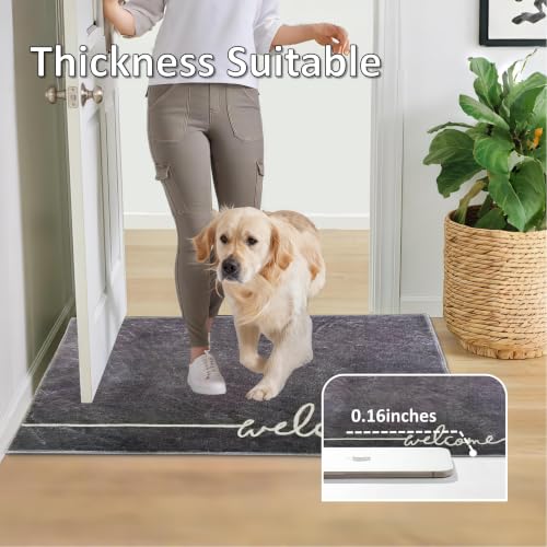 Washable Indoor Door Mat, 24"x36", Low-Profile Soft Surface Entrance Mat, Durable Stain & Fade Resistant, Non-Slip Absorbent Backing, Easy Clean Welcome Doormat for Home Indoor Entryway - size: 2' x 3' (Rectangular)