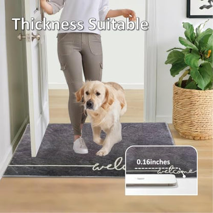 Washable Indoor Door Mat, 24"x36", Low-Profile Soft Surface Entrance Mat, Durable Stain & Fade Resistant, Non-Slip Absorbent Backing, Easy Clean Welcome Doormat for Home Indoor Entryway - size: 2' x 3' (Rectangular)