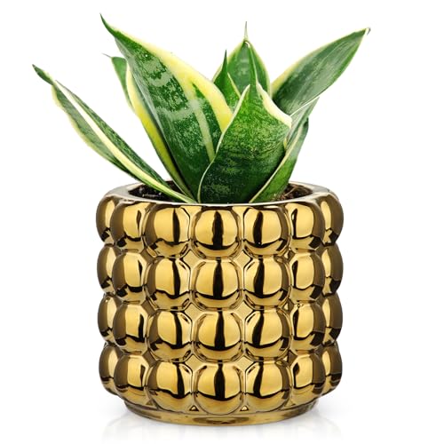5 Inch Ceramic Planter Pot for Indoor Plants with Drainage Hole Bubble Flower Planter Hobnail Plant Pot Garden Planter Gold Succulent Plant Pot Utensil Holder - color: Gold # 5 Inch