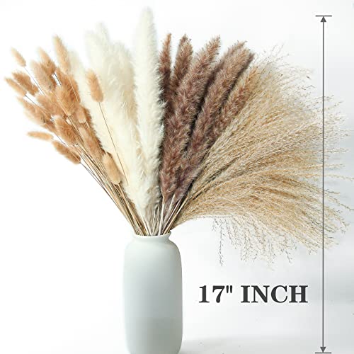 240 PCS Dried Flower Bouquet – Pampas Grass, Floral Decor for Home, Wedding, and Boho Style | Perfect for Vases, Fall, Spring, Summer, and Winter Arrangements - size: 240PCS