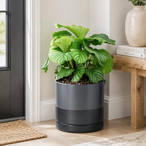 D'vine Dev 10 Inch Ceramic Planter Pot, Slate, 94-O-E-5 | Modern Cylinder Design, Drainage Hole & Saucer Included, Stable Structure, Elegant Home Accent - color: Slate, size: Large