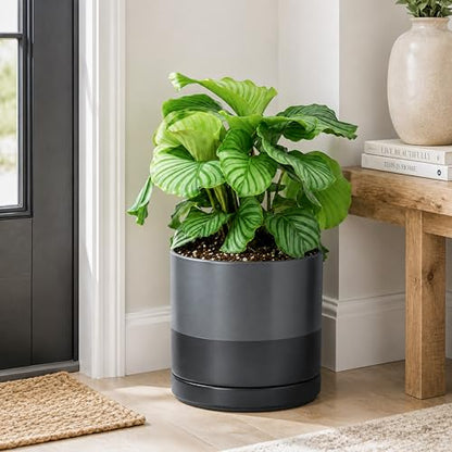 D'vine Dev 10 Inch Ceramic Planter Pot, Slate, 94-O-E-5 | Modern Cylinder Design, Drainage Hole & Saucer Included, Stable Structure, Elegant Home Accent - color: Slate, size: Large