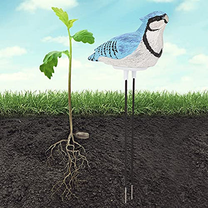Watering Alarm Bird Plant Soil Tester, Hygrometer Sensor Gardening Tool, for Planter Water Remind Warining Alert(Battery Included)(Blue)