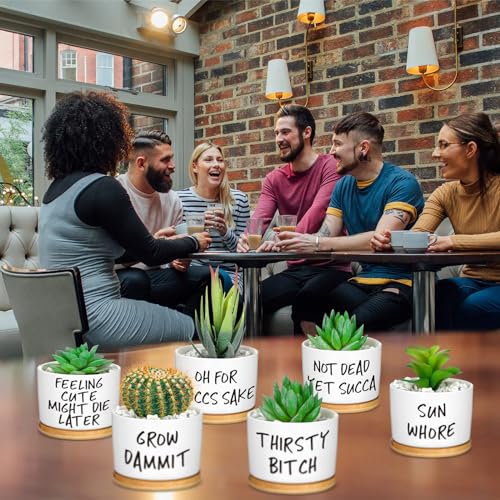 9 Pcs Funny Succulent Pots Ceramic Planters Bamboo Tray,Funny | Cute Aloe Cactus Planters with Drainage, White Mini Pots for Indoor Desk Decor, Birthday Housewarming Gifts for Women