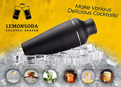 9-Piece Cocktail Shaker Bartender Kit with Stand, Matte Black Bar Tools | Boston Shaker, Mixing Spoon, Muddler, Measuring Jigger, Mesh & Regular Strainer, Liquor Pourers & More Professional Tools