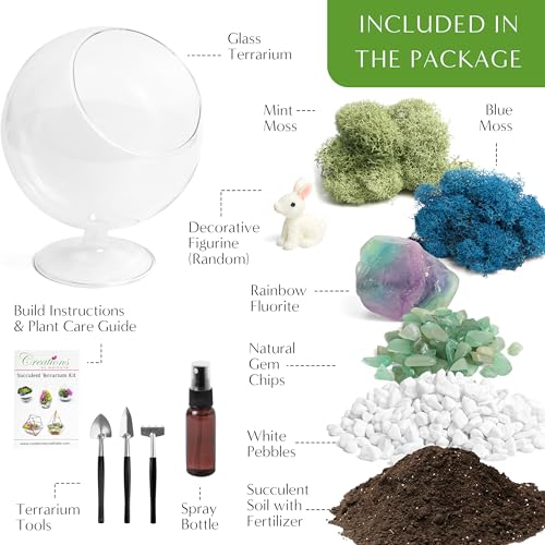 Creations by Nathalie DIY 6" Chalice Terrarium Kit Build Your Own Glass Terrarium for Adults & Teens, DIY Terrarium Kit with Live Moss, Crystals, Soil (Plant Not Included) | DIY chalice glass terrarium kit with moss and tools, including supplies for creat