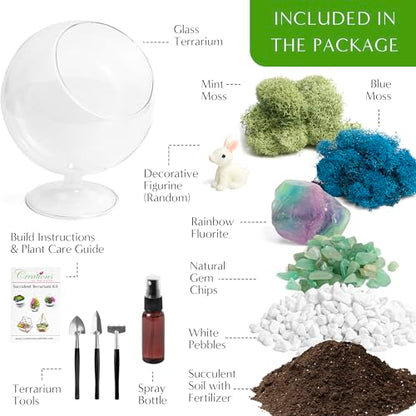 Creations by Nathalie DIY 6" Chalice Terrarium Kit Build Your Own Glass Terrarium for Adults & Teens, DIY Terrarium Kit with Live Moss, Crystals, Soil (Plant Not Included) | DIY chalice glass terrarium kit with moss and tools, including supplies for creat