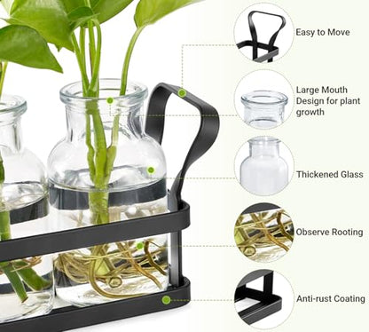 Mkono Propagation Stations, 5 Jars Desktop Glass Plant Terrarium with Stand | Flower Vase, Hydroponic Cuttings, Easy Water Refill,Clear Root View Planter,Farmhouse Home Office Decor, Gardening Lover Gift - size: Large