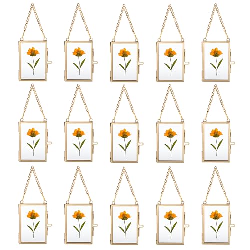JUXYES 2x3 Hanging Mini Double Glass Picture Frame for Pressed Flower, Gold | 15 Pack Wallet Size Tiny Frame Ornament for Xmas Tree Party Wall Decor, Small Gold Brass Floating Display Frame with Chain - color: Vertical, size: 15 Pack
