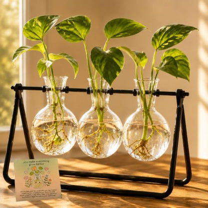 Plant Terrarium with Metal Stand, 3 Bulb Glass Vase, Minimalist Plant Stand | Propagation Stations For Hydroponic Plant, Tabletop Indoor Room Office Home Desk Decor Gardening Gifts For Women, Plant Lover