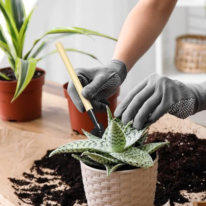 Kisangel 6pcs Kids Mini Gardening Tool Set, Small Metal Garden Tools Kit | 2 Shovels, 2 Rakes & 2 Spades, for Kids’ Seedling Transplanting, Bonsai Tending, Gardening & Parent-Child Planting Time