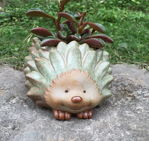 Cute Animal Shaped Vase Pot Home Decoration for Small Succulent Plants Cartoon Flower Pot Ceramic Succulent Planter with Drainage Hole Succulent Holder (Small Hedgehog) - size: Small Hedgehog