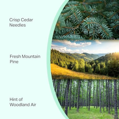 Pine Volcano Candle 19oz: 80-Hour Burn, Natural Refreshing Pine Scent, Hybrid Soy Wax, Crackling Wood Wick, Teal Matte Glass Jar, Gold Foil Gift Box by Spotless Candles - color: Pine 19, size: 19oz