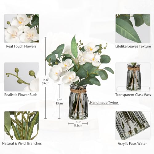 White Orchids Artificial Flowers with Vase Fake Flower in Vase Artificial Eucalyptus Stems in Glass Vases with Faux Water Faux Orchid with Eucalyptus Leaves Arrangement for Dining Table Centerpiece - color: White & Black Vase