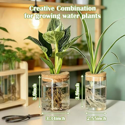 Glass Plant Propagation Stations for Plants – Set of 4 | Hydroponic Pots for Flower Arrangements,Plant Cuttings,Home & Office Decor–Desktop Vases for Living Room,Bedroom