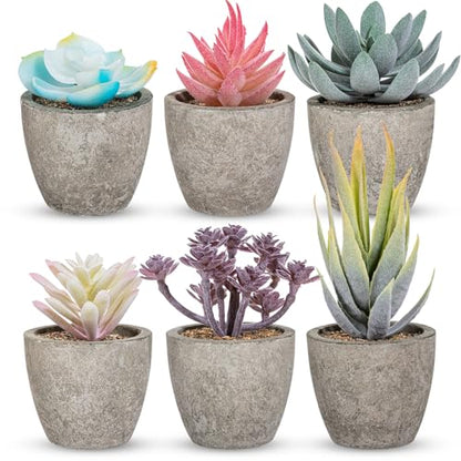 Set of 6 Artificial Succulents Potted - Realistic Mini Fake Cactus Plants in Paper Pulp Pots, 2-4'' Mixed Sizes for Farmhouse Shelf, Bathroom, Coatrack Shelf, Bedroom Indoor(Vivid Style) - style: Vivid Style